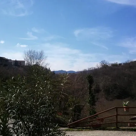 Torre Avellana